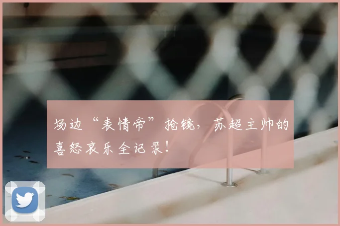 场边“表情帝”抢镜,苏超主帅的喜怒哀乐全记录!
